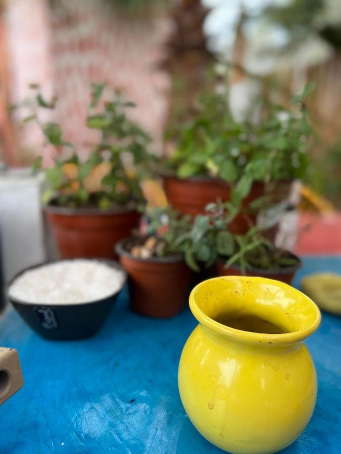托多斯桑托斯 La Sardina旅舍 外观 照片