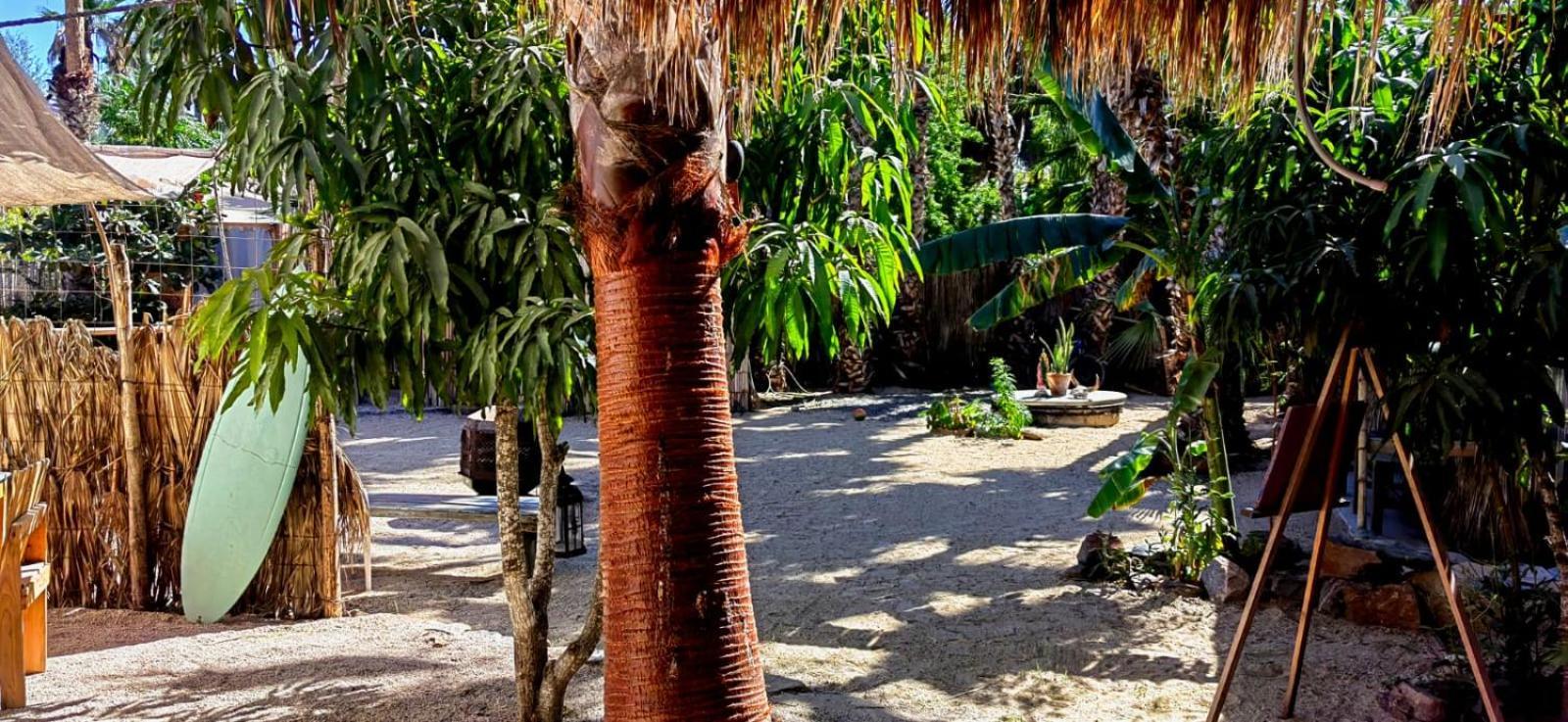 托多斯桑托斯 La Sardina旅舍 外观 照片