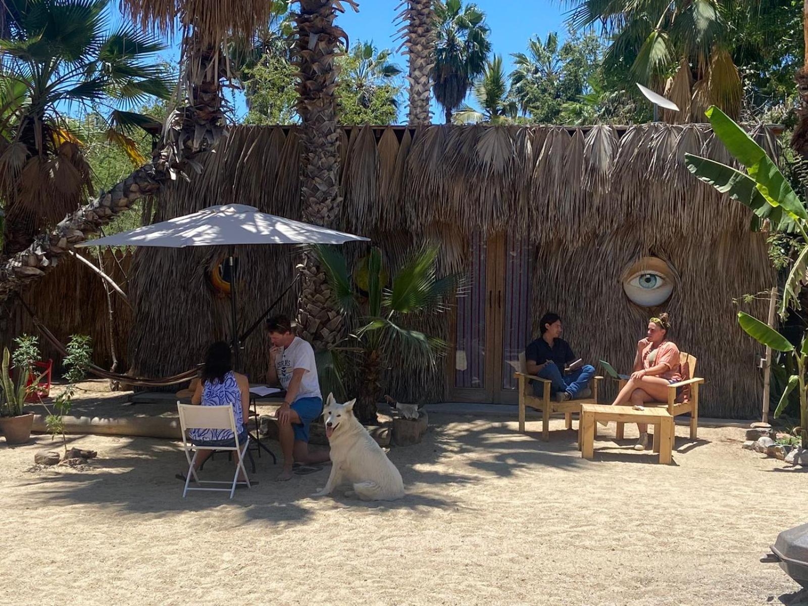托多斯桑托斯 La Sardina旅舍 外观 照片